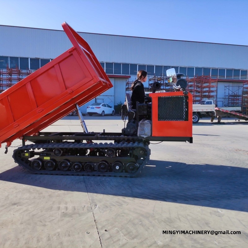 tracked carrier
