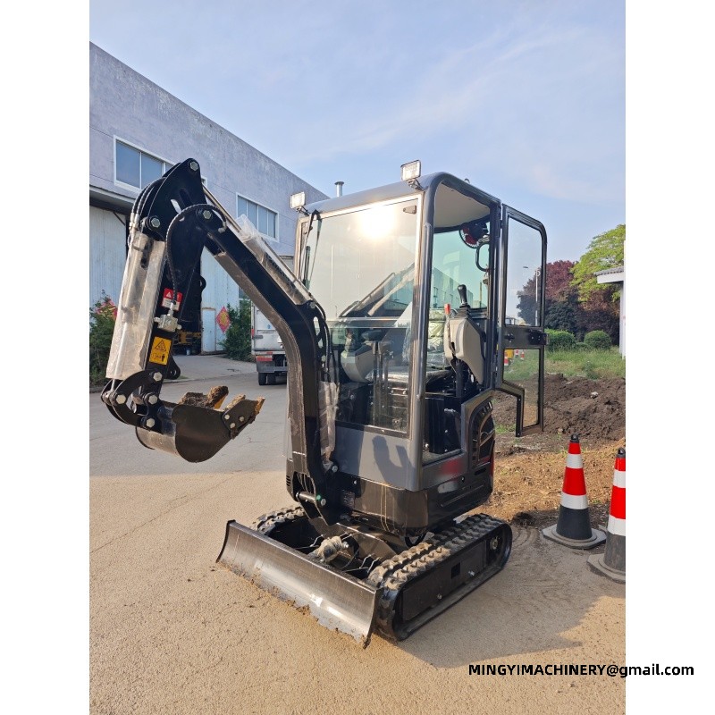 Professional Agricultural Small Crawler Excavator